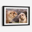 Perritos de la pradera | Cuadro decorativo de Canvas Lab