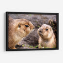 Perritos de la pradera | Cuadro decorativo de Canvas Lab