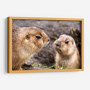 Perritos de la pradera | Cuadro decorativo de Canvas Lab