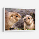 Perritos de la pradera | Cuadro decorativo de Canvas Lab