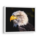 El águila calva | Cuadro decorativo de Canvas Lab