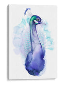 Peacock Bejeweled I - Grace Popp | Cuadro decorativo de Canvas Lab