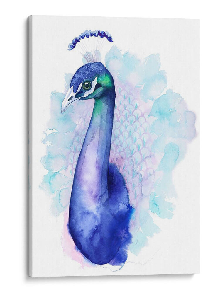 Peacock Bejeweled Ii - Grace Popp | Cuadro decorativo de Canvas Lab