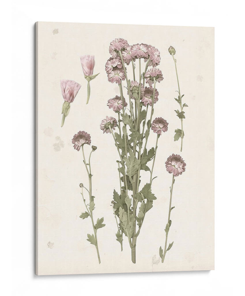 Floraciones Presionadas I - Grace Popp | Cuadro decorativo de Canvas Lab