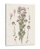 Floraciones Presionadas I - Grace Popp | Cuadro decorativo de Canvas Lab