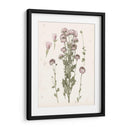 Floraciones Presionadas I - Grace Popp | Cuadro decorativo de Canvas Lab