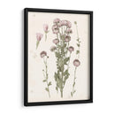 Floraciones Presionadas I - Grace Popp | Cuadro decorativo de Canvas Lab