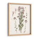 Floraciones Presionadas I - Grace Popp | Cuadro decorativo de Canvas Lab
