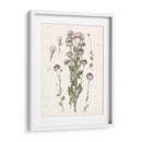 Floraciones Presionadas I - Grace Popp | Cuadro decorativo de Canvas Lab