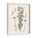 Floraciones Presionadas I - Grace Popp | Cuadro decorativo de Canvas Lab