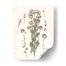 Floraciones Presionadas I - Grace Popp | Cuadro decorativo de Canvas Lab