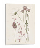 Floraciones Presionadas Ii - Grace Popp | Cuadro decorativo de Canvas Lab
