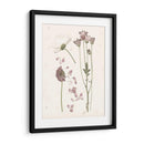 Floraciones Presionadas Ii - Grace Popp | Cuadro decorativo de Canvas Lab