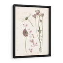 Floraciones Presionadas Ii - Grace Popp | Cuadro decorativo de Canvas Lab