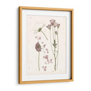 Floraciones Presionadas Ii - Grace Popp | Cuadro decorativo de Canvas Lab