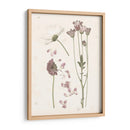 Floraciones Presionadas Ii - Grace Popp | Cuadro decorativo de Canvas Lab