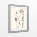 Floraciones Presionadas Ii - Grace Popp | Cuadro decorativo de Canvas Lab
