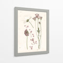 Floraciones Presionadas Ii - Grace Popp | Cuadro decorativo de Canvas Lab