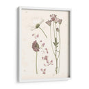 Floraciones Presionadas Ii - Grace Popp | Cuadro decorativo de Canvas Lab