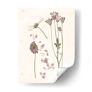 Floraciones Presionadas Ii - Grace Popp | Cuadro decorativo de Canvas Lab