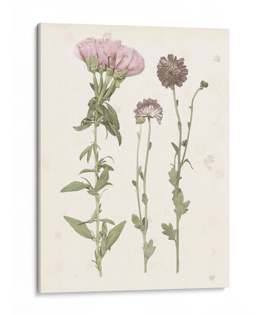 Floraciones Prensadas Iii - Grace Popp | Cuadro decorativo de Canvas Lab