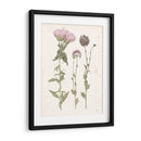 Floraciones Prensadas Iii - Grace Popp | Cuadro decorativo de Canvas Lab