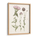 Floraciones Prensadas Iii - Grace Popp | Cuadro decorativo de Canvas Lab