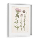 Floraciones Prensadas Iii - Grace Popp | Cuadro decorativo de Canvas Lab