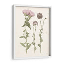 Floraciones Prensadas Iii - Grace Popp | Cuadro decorativo de Canvas Lab