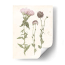 Floraciones Prensadas Iii - Grace Popp | Cuadro decorativo de Canvas Lab