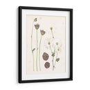 Floraciones Prensadas Iv - Grace Popp | Cuadro decorativo de Canvas Lab