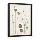 Floraciones Prensadas Iv - Grace Popp | Cuadro decorativo de Canvas Lab