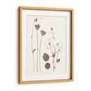 Floraciones Prensadas Iv - Grace Popp | Cuadro decorativo de Canvas Lab
