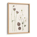 Floraciones Prensadas Iv - Grace Popp | Cuadro decorativo de Canvas Lab