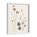 Floraciones Prensadas Iv - Grace Popp | Cuadro decorativo de Canvas Lab