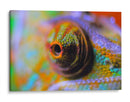 Ojo de camaleón | Cuadro decorativo de Canvas Lab