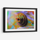 Ojo de camaleón | Cuadro decorativo de Canvas Lab