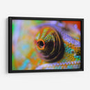 Ojo de camaleón | Cuadro decorativo de Canvas Lab