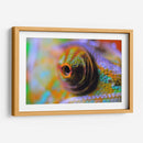 Ojo de camaleón | Cuadro decorativo de Canvas Lab