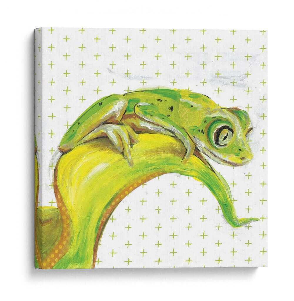 Animal Bebe Ii - Jennifer Rutledge | Cuadro decorativo de Canvas Lab