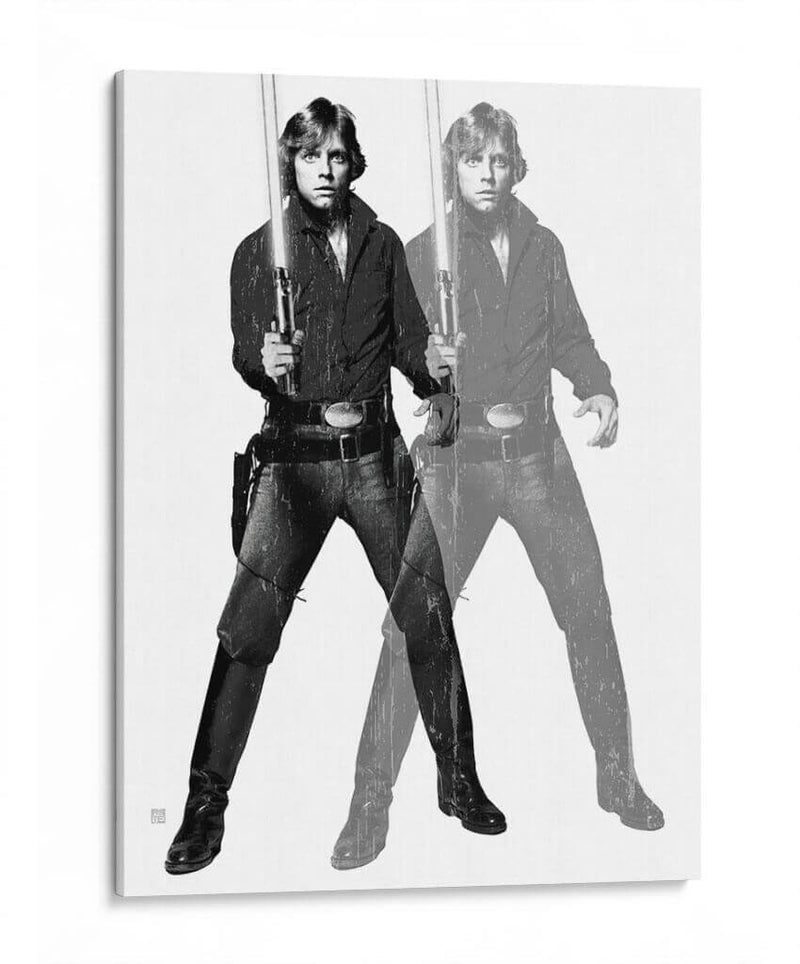 Luke Warhol Mono - David Aste | Cuadro decorativo de Canvas Lab