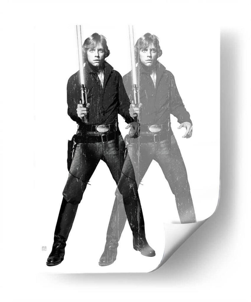 Luke Warhol Mono - David Aste | Cuadro decorativo de Canvas Lab