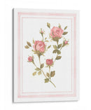 Patrón De Rosa I - Emma Scarvey | Cuadro decorativo de Canvas Lab
