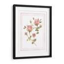 Patrón De Rosa I - Emma Scarvey | Cuadro decorativo de Canvas Lab