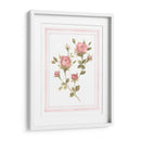 Patrón De Rosa I - Emma Scarvey | Cuadro decorativo de Canvas Lab