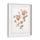 Patrón De Rosa I - Emma Scarvey | Cuadro decorativo de Canvas Lab