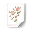 Patrón De Rosa I - Emma Scarvey | Cuadro decorativo de Canvas Lab