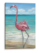 Playa Walker Flamingo Ii - Carolee Vitaletti | Cuadro decorativo de Canvas Lab
