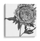 Flores En Gris Ii - Melissa Wang | Cuadro decorativo de Canvas Lab