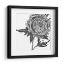 Flores En Gris Ii - Melissa Wang | Cuadro decorativo de Canvas Lab